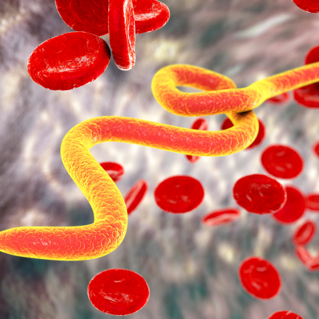 Parasitic-infections dermatologists.pk