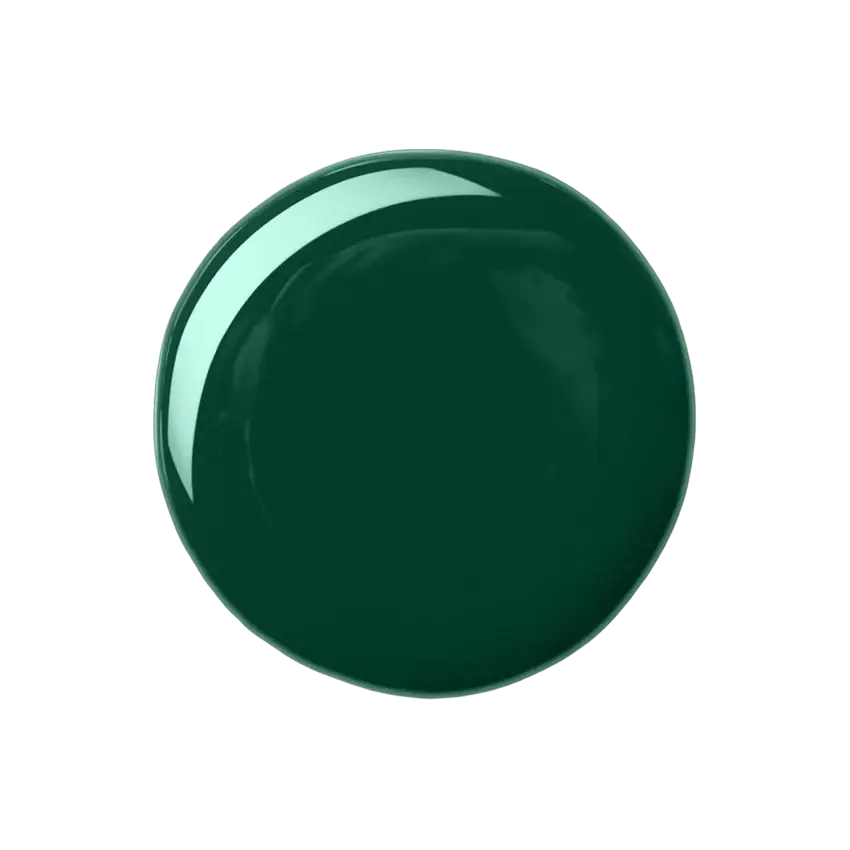 Aqua Color Line Long Wear Nail Polish Shade 204