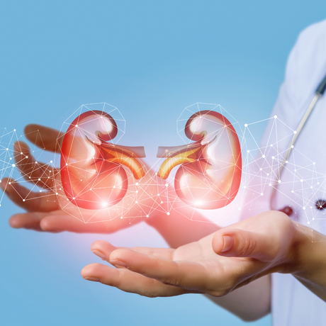 kidney-disease