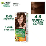 garnier hair color